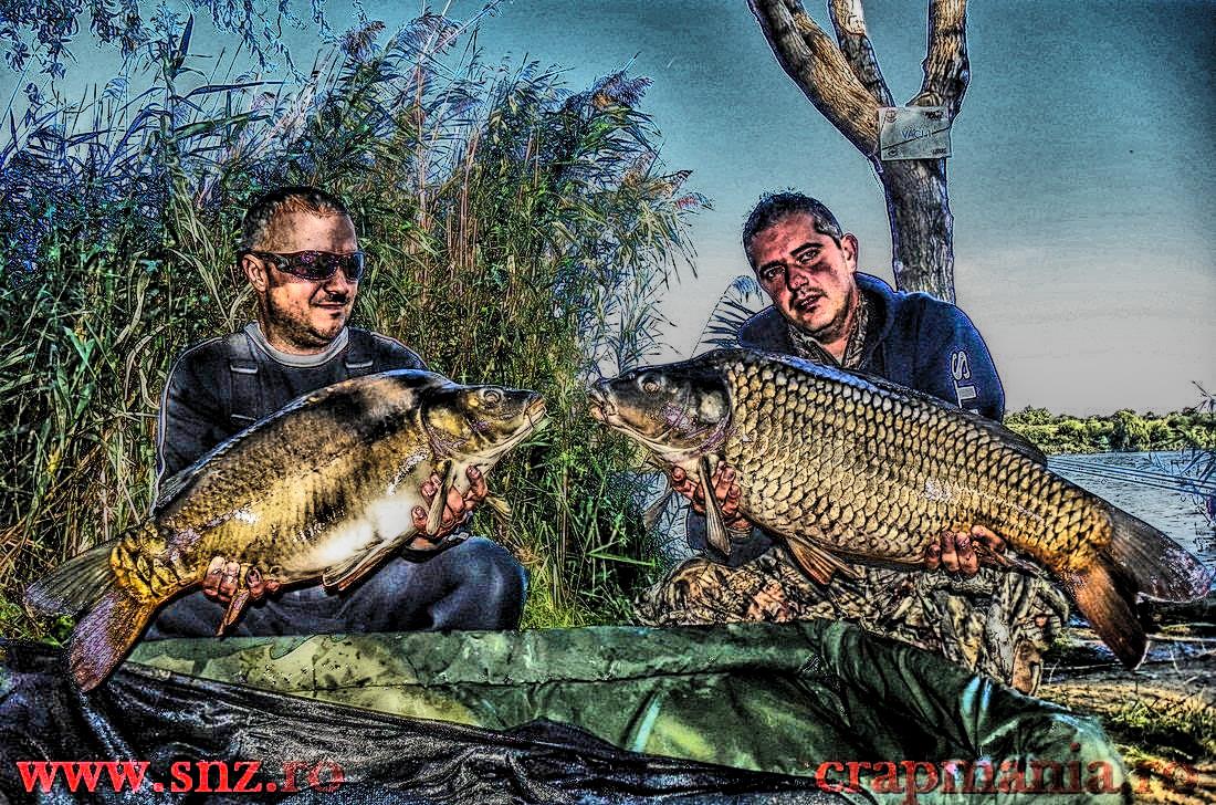 Debutmania - 2013 (3) - 1030645hdrmode2.JPG